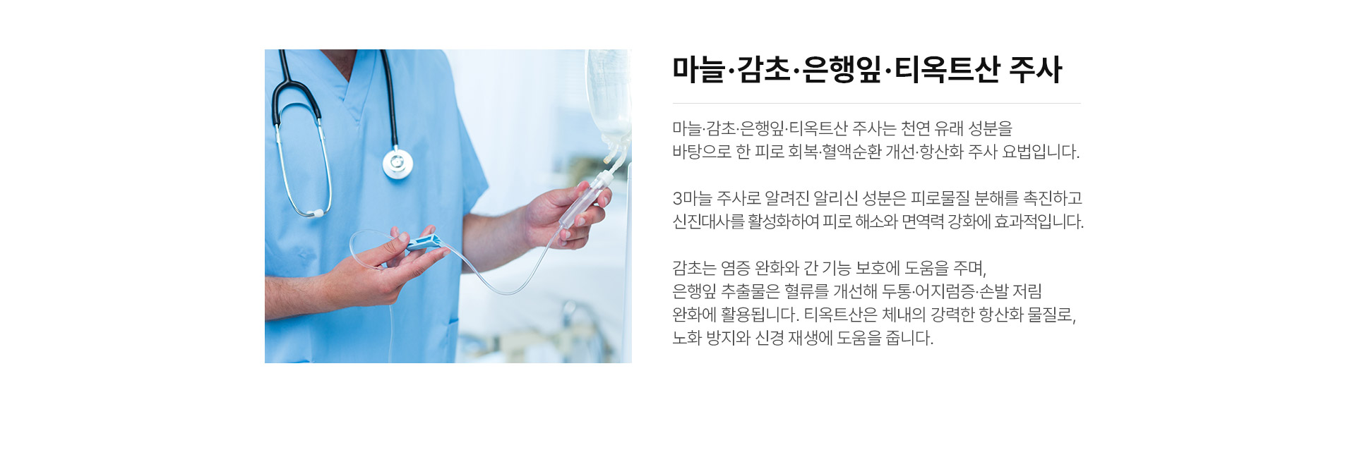 마늘,감초,은행잎,티옥트산주사